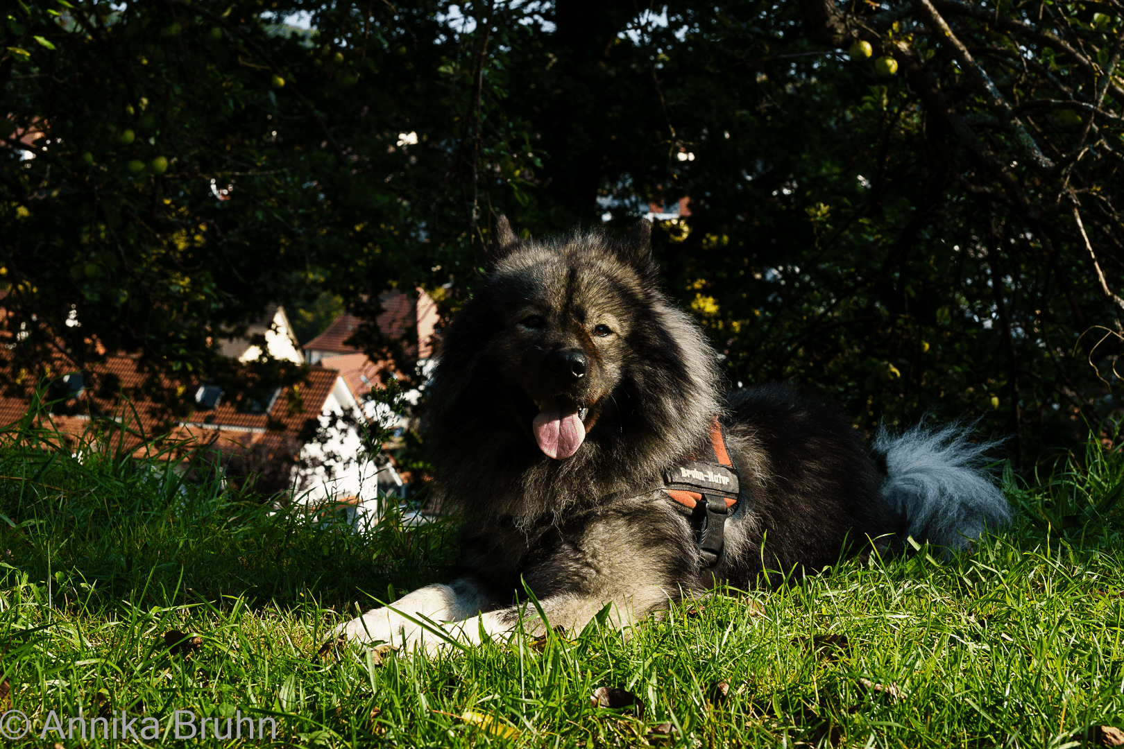 Q, unser Schatz!
